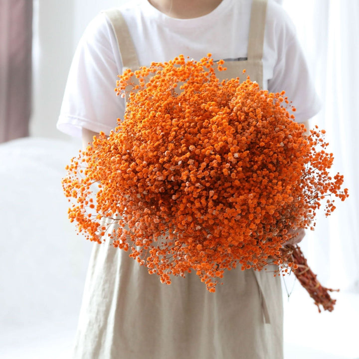 Getrockneter, konservierter Schleierkraut-Blumenstrauß – Natürliche Dekoration