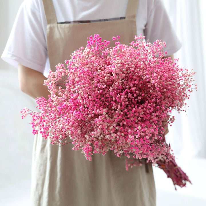 Getrockneter, konservierter Schleierkraut-Blumenstrauß – Natürliche Dekoration