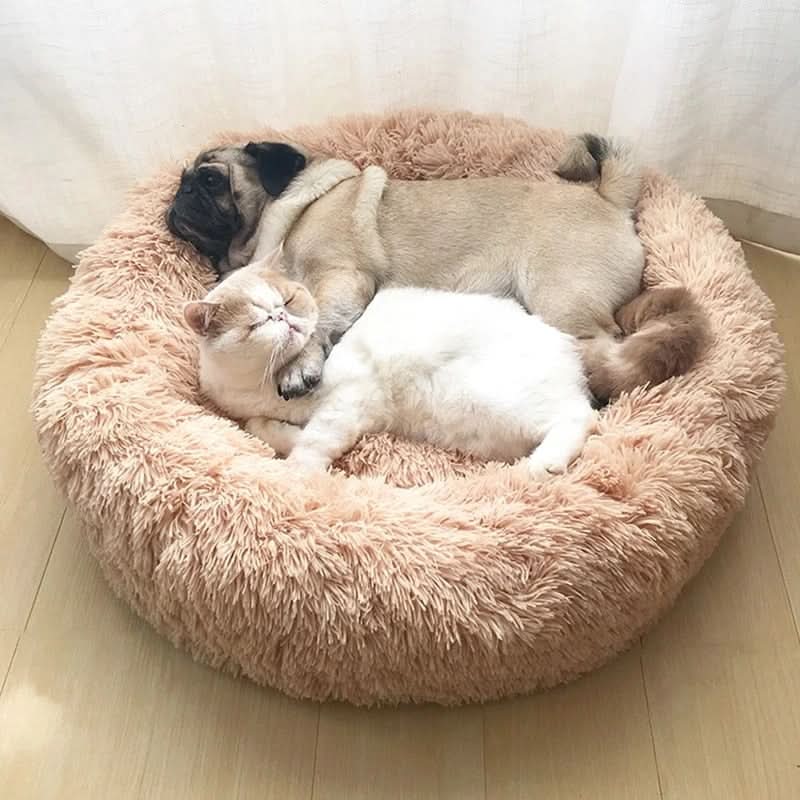 Skanto | Pet Donut Sofa – Koselig tilflukt for kjæledyr & beskyttelse for møblene