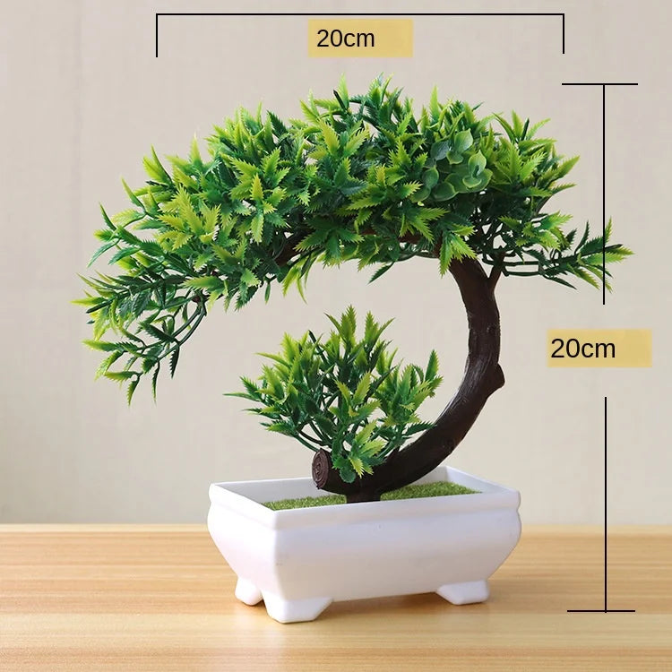 Skanto | Liten Tre Potte Bonsai Planter