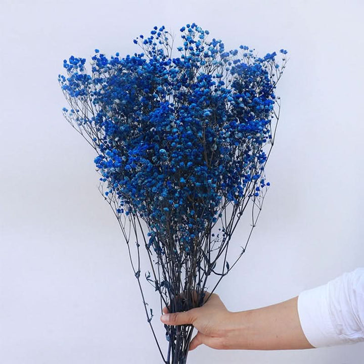 Getrockneter, konservierter Schleierkraut-Blumenstrauß – Natürliche Dekoration