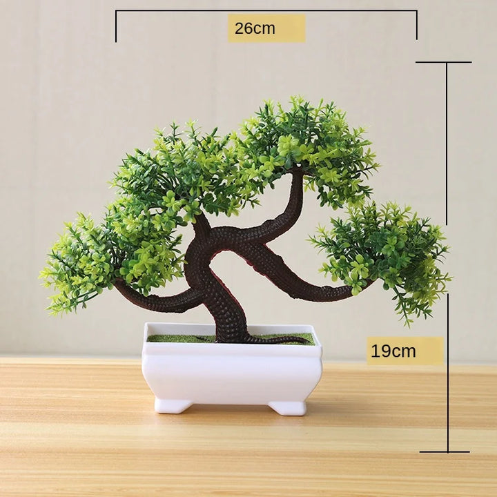 Skanto | Liten Tre Potte Bonsai Planter
