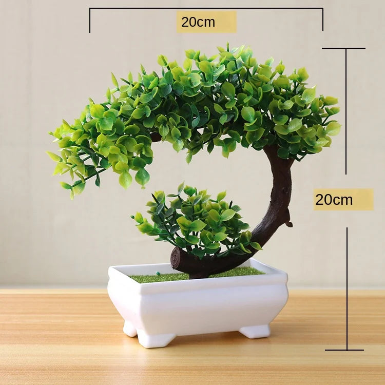 Skanto | Liten Tre Potte Bonsai Planter