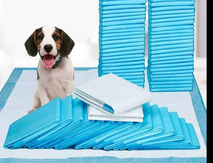 Pet Training Pads - DryPaws Matter Skanto