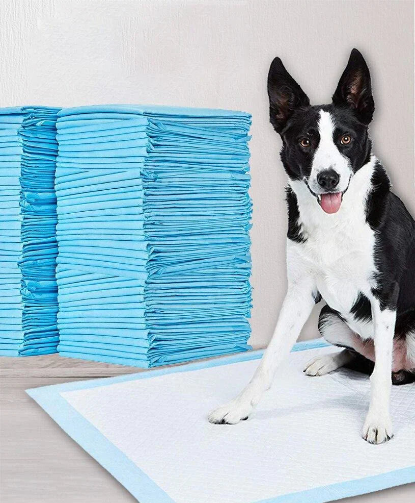 Pet Training Pads - DryPaws Matter Skanto