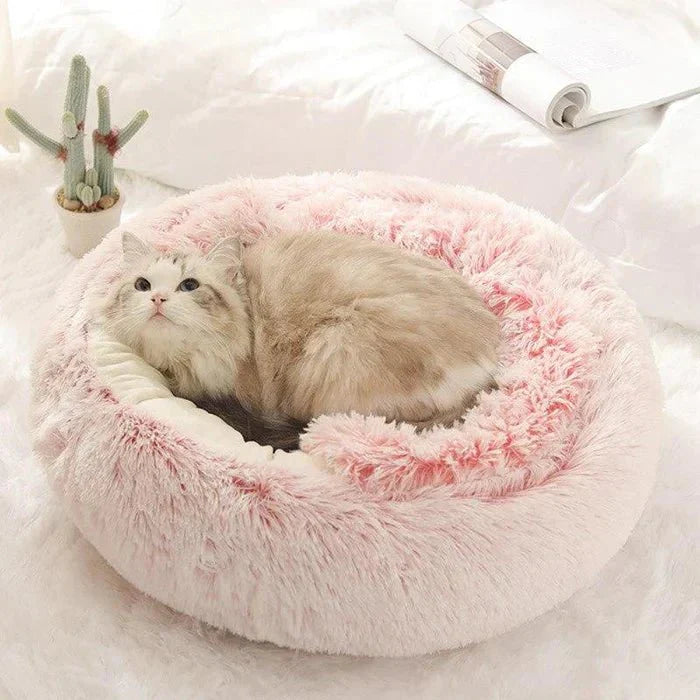 KittyCove Ultimate Comfort for Your Cat | Skanto