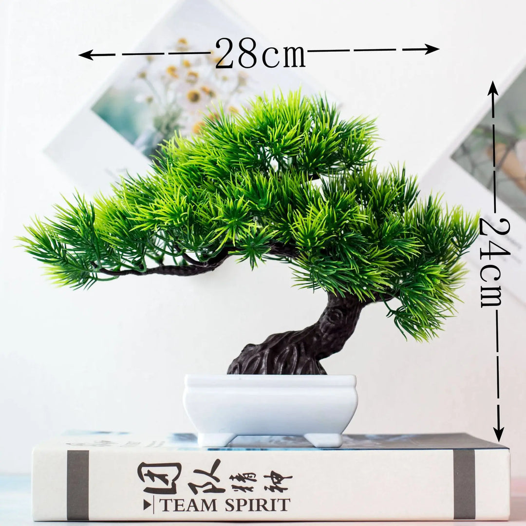Skanto | Liten Tre Potte Bonsai Planter