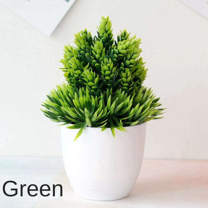 Skanto | Liten Tre Potte Bonsai Planter