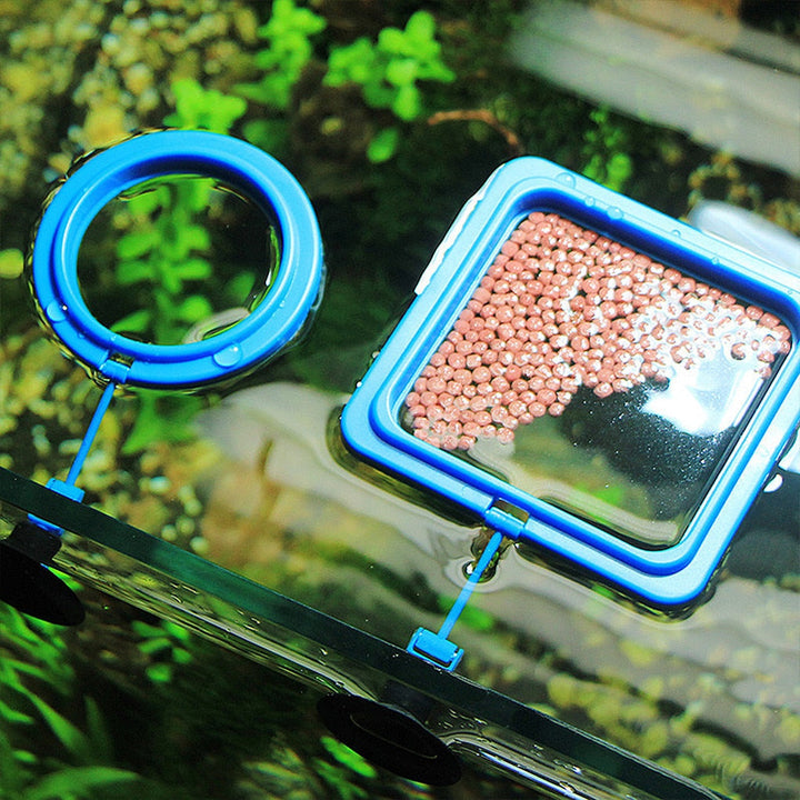 Skanto | Akvarium mating ring