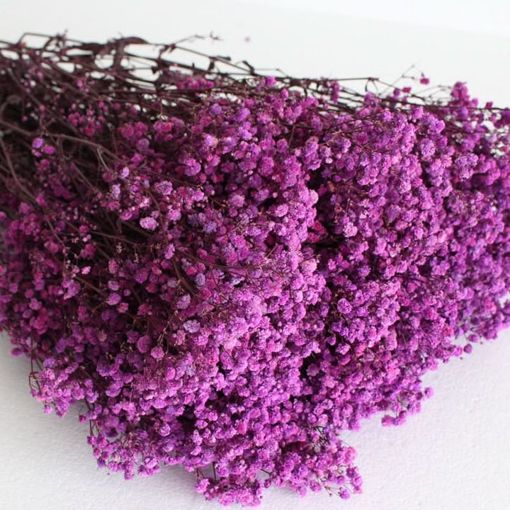 Getrockneter, konservierter Schleierkraut-Blumenstrauß – Natürliche Dekoration