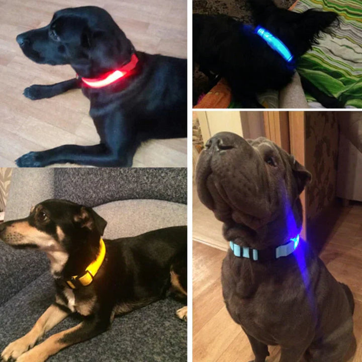 GlowPets LED-Halsband – Sicherheit og Sichtbarkeit für Haustiere