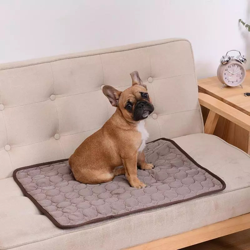 Sommerkjøling hundematte: Pustende pute for hunder og katter - Vaskbar kjæledyrteppe for små, mellomstore og store hunder, ideell for biler | Skanto