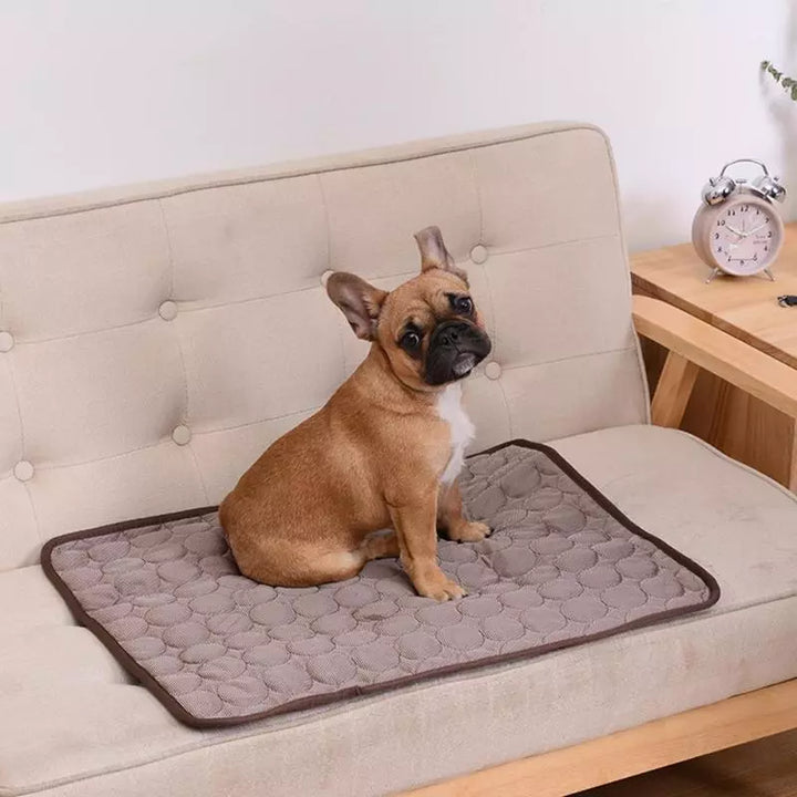 Sommerkjøling hundematte: Pustende pute for hunder og katter - Vaskbar kjæledyrteppe for små, mellomstore og store hunder, ideell for biler | Skanto