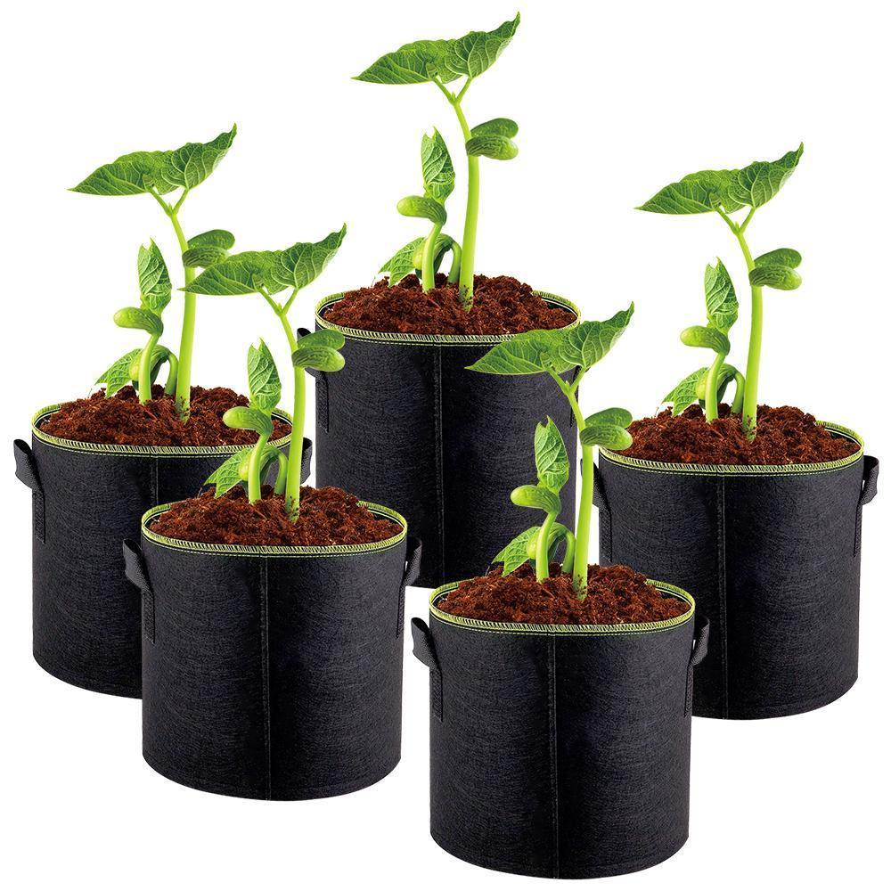 Vokseposer, Hageplantingspose | Norvo