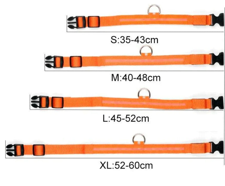 Skanto | GlowPets LED Halsbånd – Sikkerhet & Synlighet for Kjæledyr