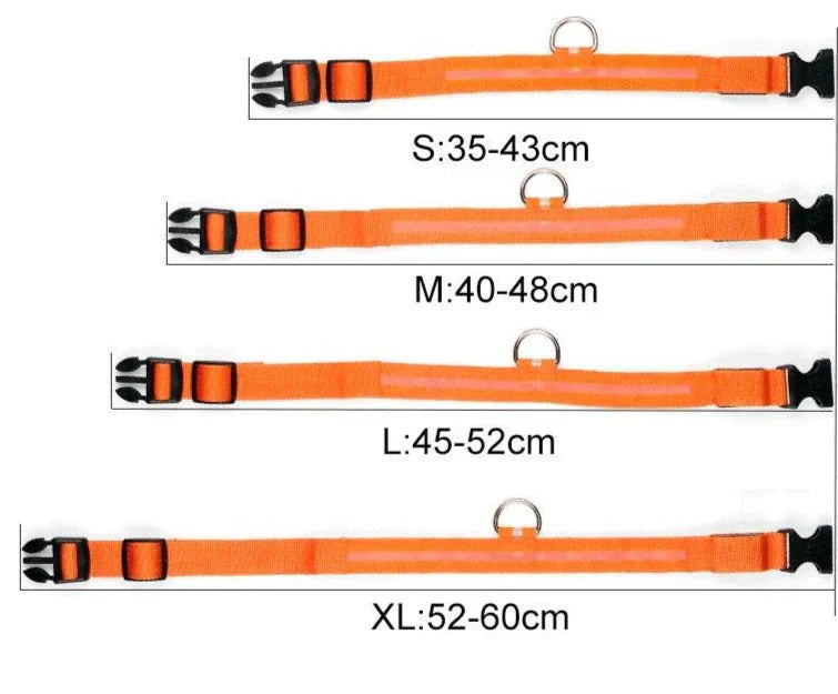 GlowPets LED-Halsband – Sicherheit og Sichtbarkeit für Haustiere
