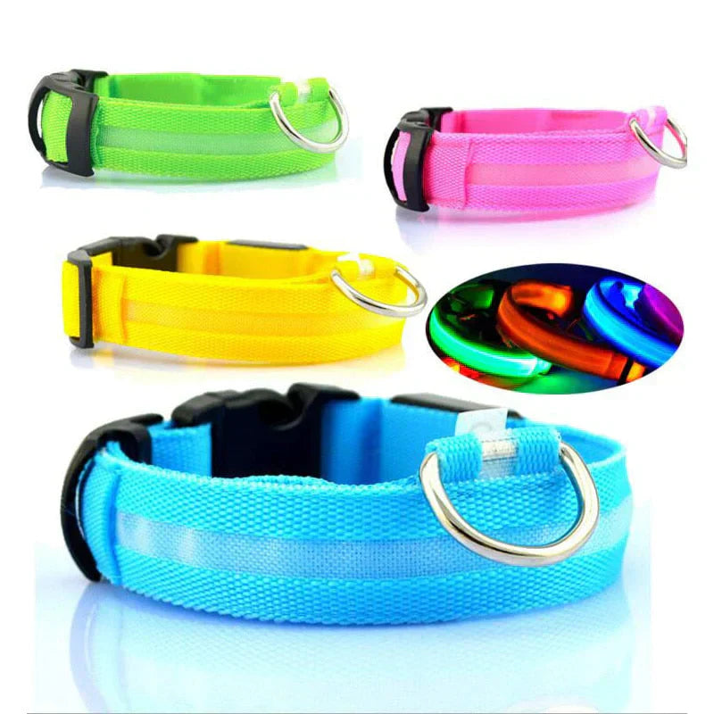 Skanto | GlowPets LED Halsbånd – Sikkerhet & Synlighet for Kjæledyr
