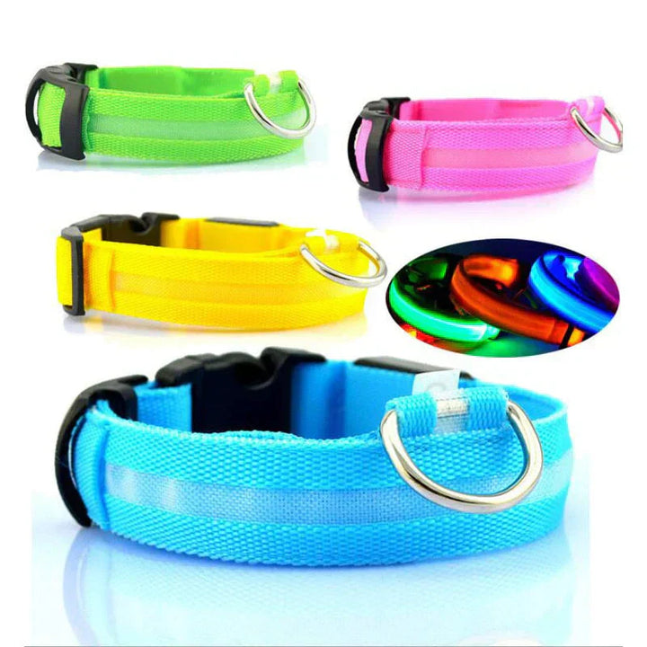 GlowPets LED-Halsband – Sicherheit og Sichtbarkeit für Haustiere