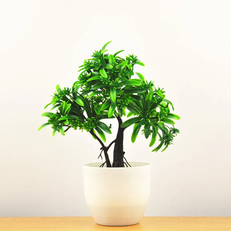 Skanto | Liten Tre Potte Bonsai Planter