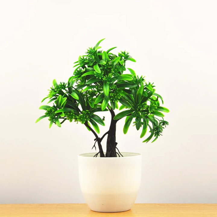 Skanto | Liten Tre Potte Bonsai Planter