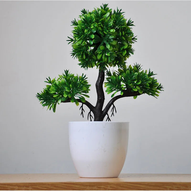 Skanto | Liten Tre Potte Bonsai Planter