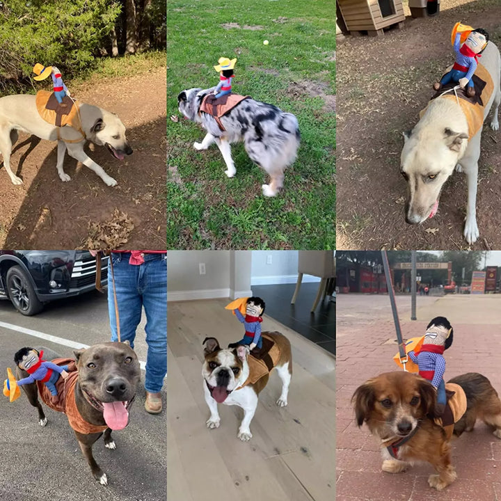 Skanto | Halloween Cowboy Hundekostyme Sett