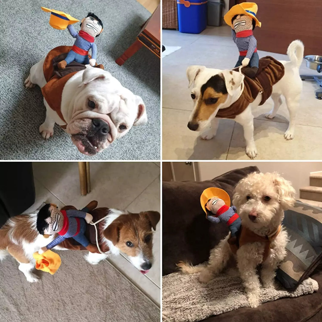 Skanto | Halloween Cowboy Hundekostyme Sett