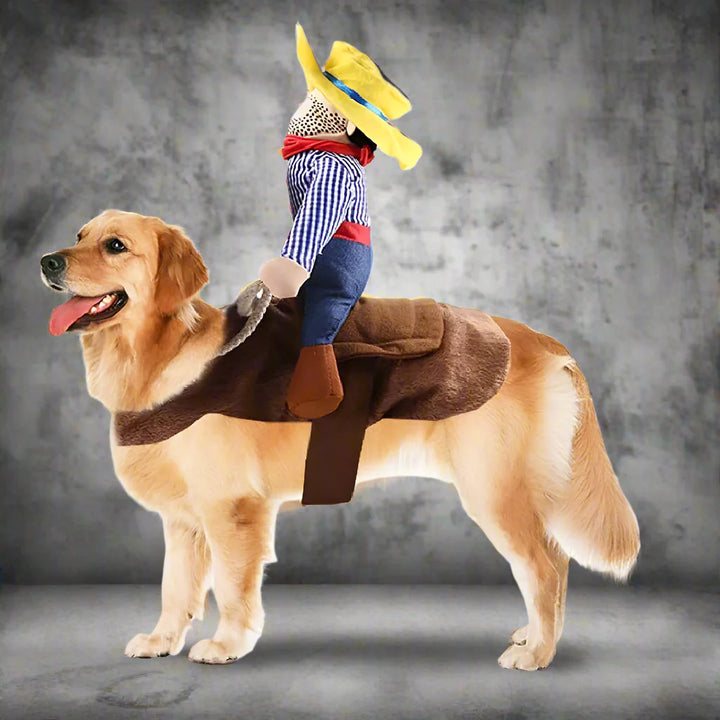 Skanto | Halloween Cowboy Hundekostyme Sett