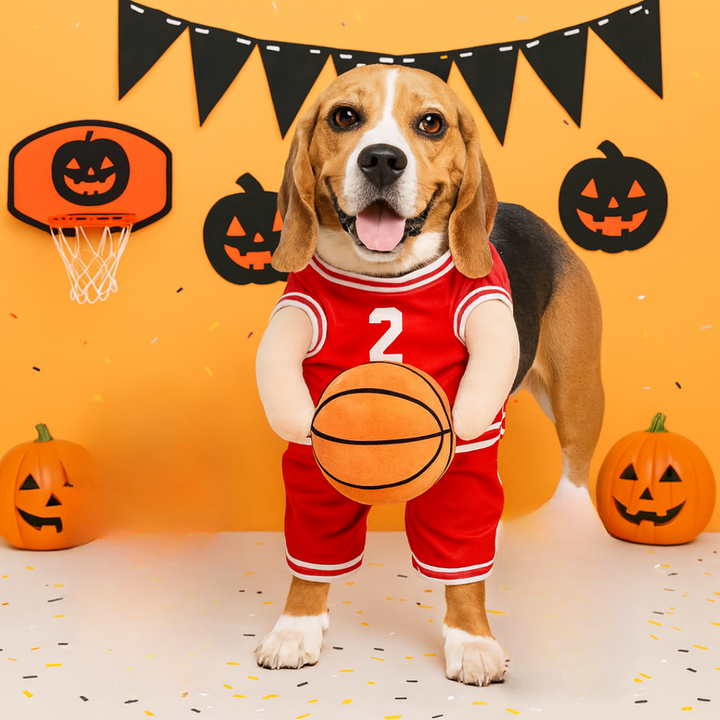 Skanto | Halloween Hundekostyme Basketballantrekk
