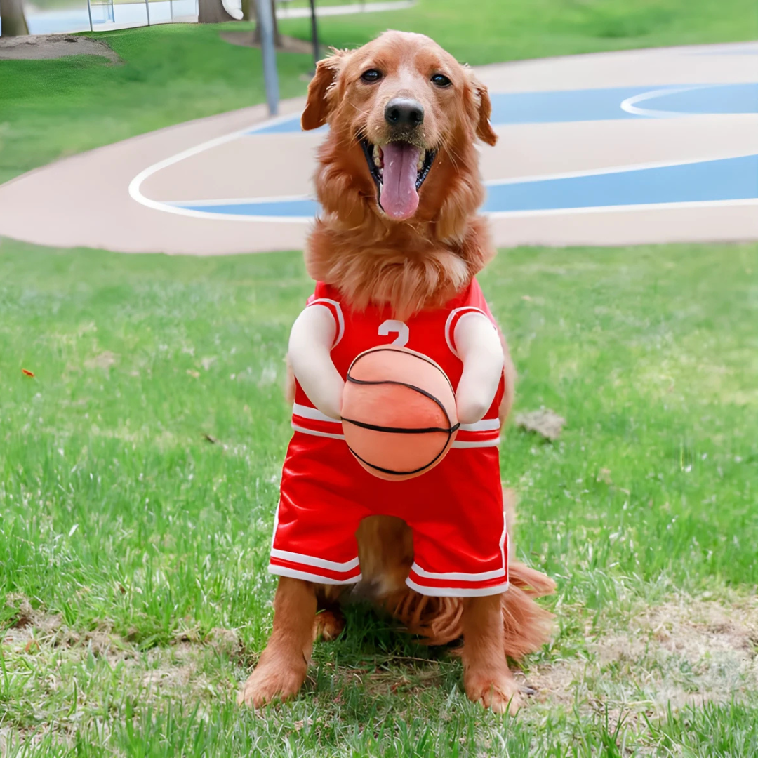Skanto | Halloween Hundekostyme Basketballantrekk
