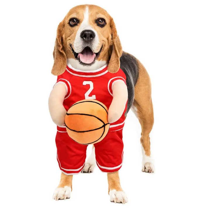 Skanto | Halloween Hundekostyme Basketballantrekk