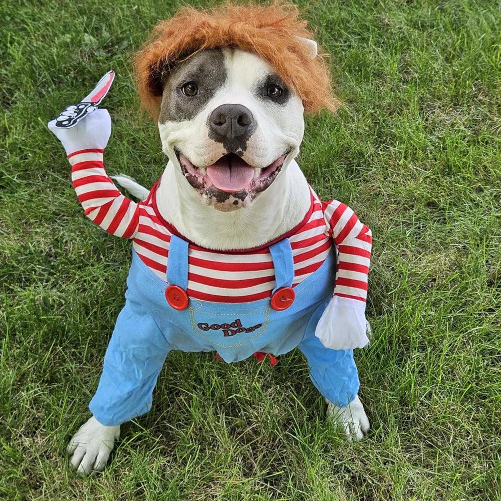 Skanto | Halloween Hundekostyme Morsomt Kjæledyrantrekk