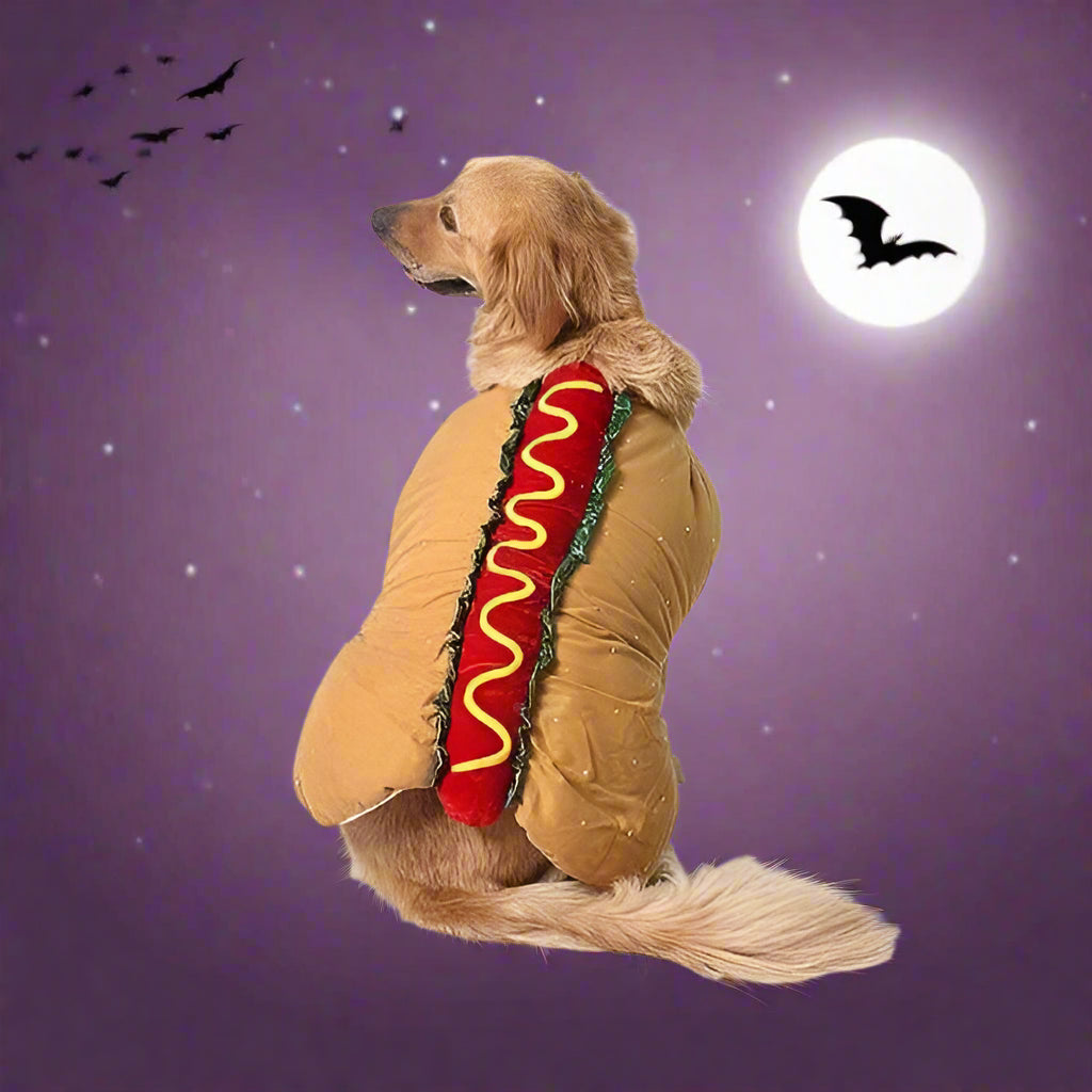 Skanto | Halloween Hot Dog Kjole til Kjæledyr