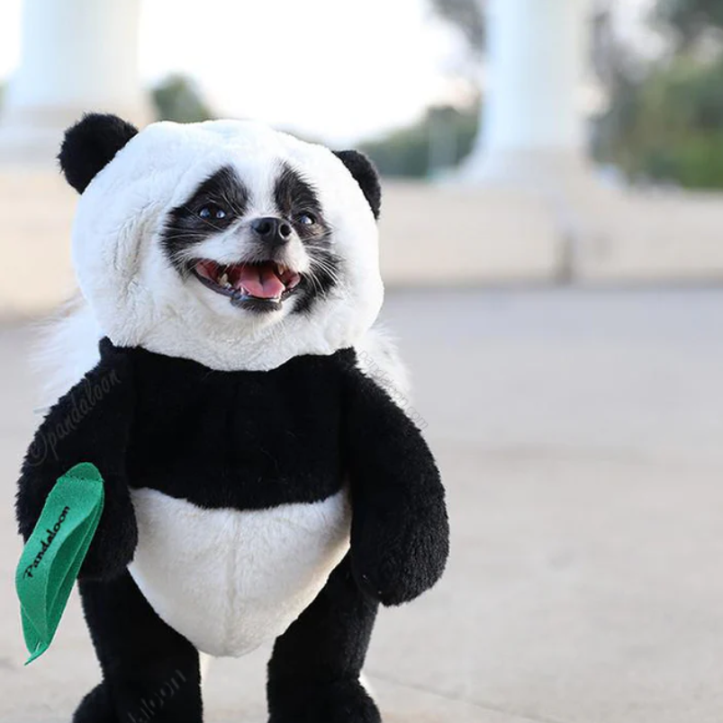Skanto | Halloween Panda Hund Kostyme Utstyr