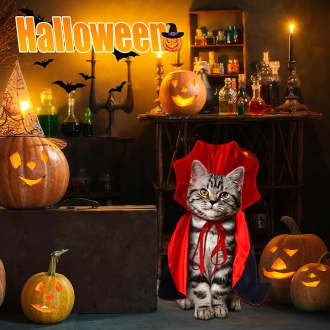 Skanto | Halloween Vampyr Kappe Kjæledyr Kostyme
