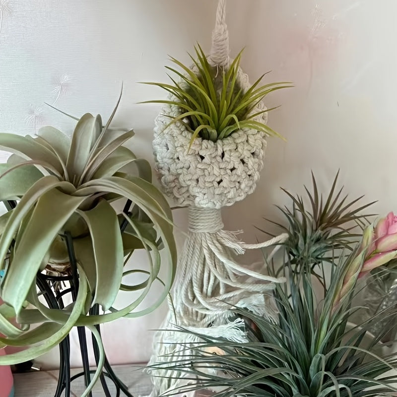 Skanto | Håndlaget Makrame Luftplante Hengende Kurv
