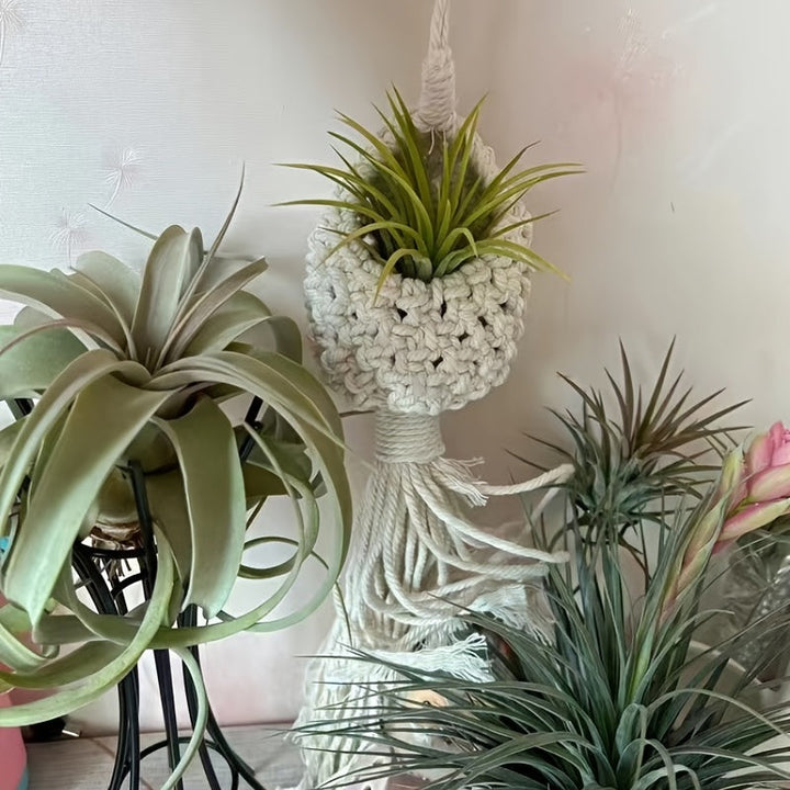 Skanto | Håndlaget Makrame Luftplante Hengende Kurv