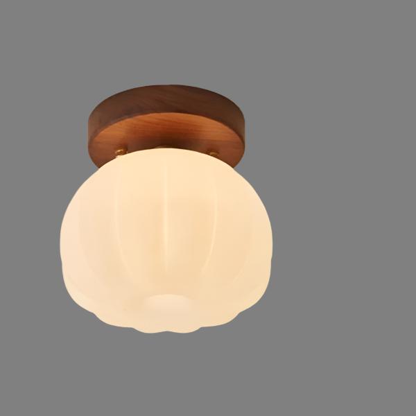 Skanto | Taklampe | Moderne og energieffektiv