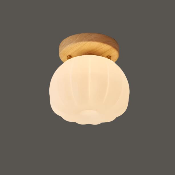 Skanto | Taklampe | Moderne og energieffektiv