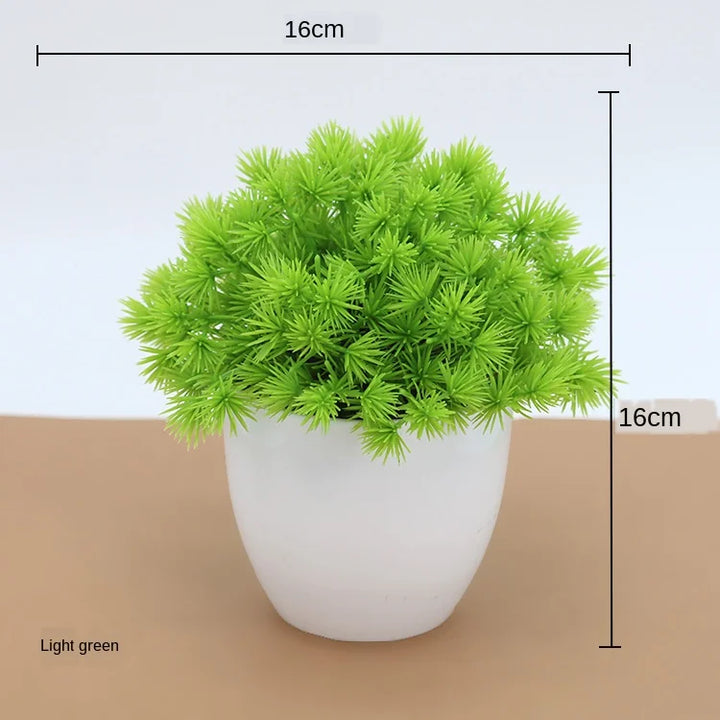 Skanto | Liten Tre Potte Bonsai Planter