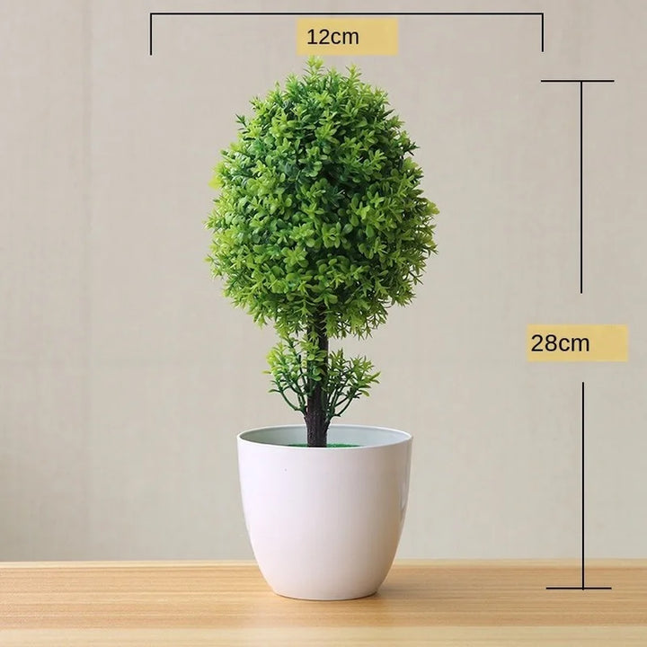 Skanto | Liten Tre Potte Bonsai Planter