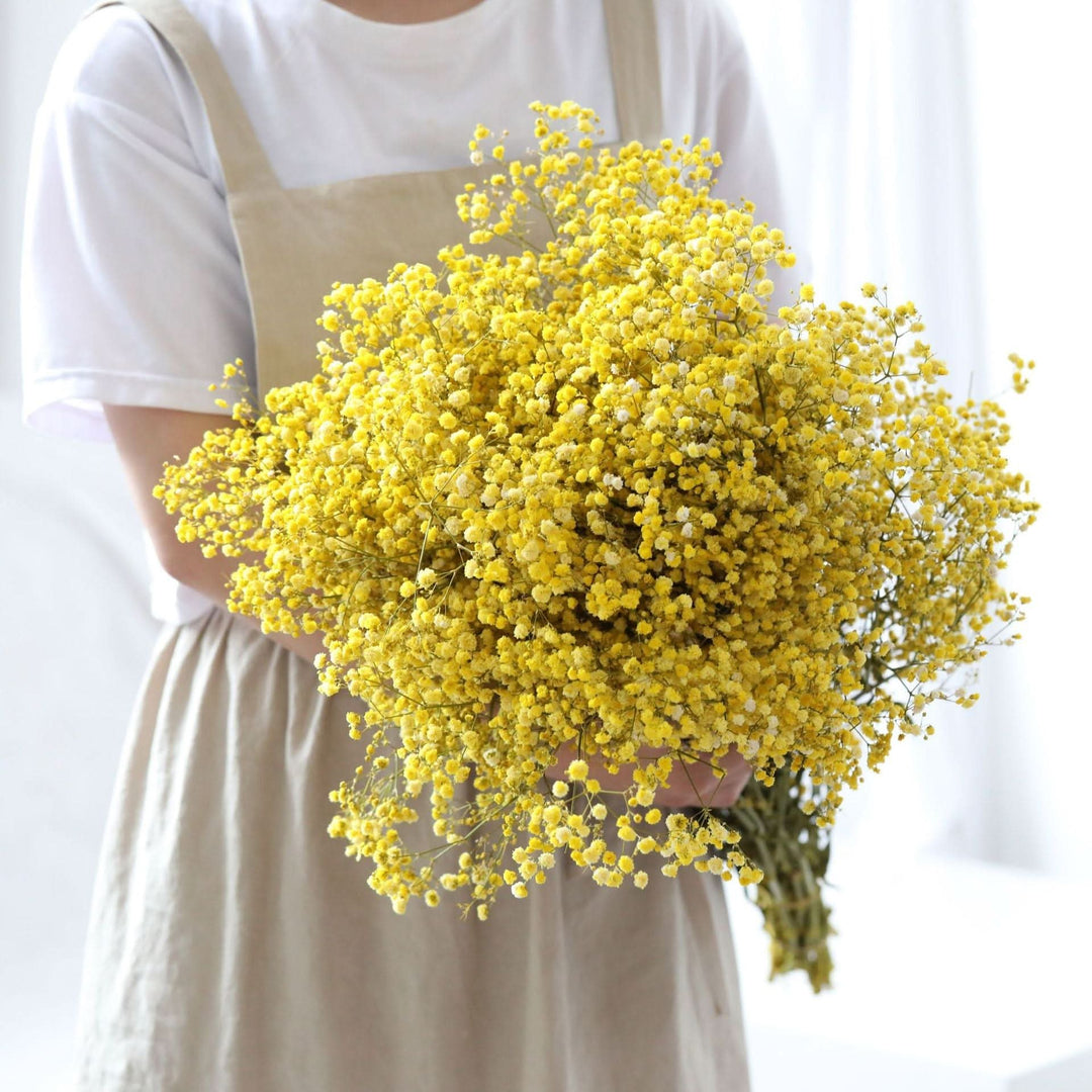 Getrockneter, konservierter Schleierkraut-Blumenstrauß – Natürliche Dekoration