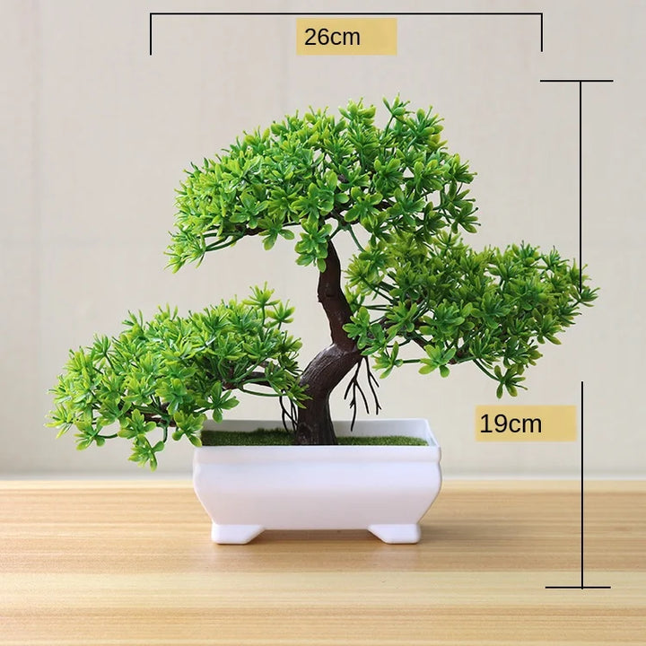 Skanto | Liten Tre Potte Bonsai Planter