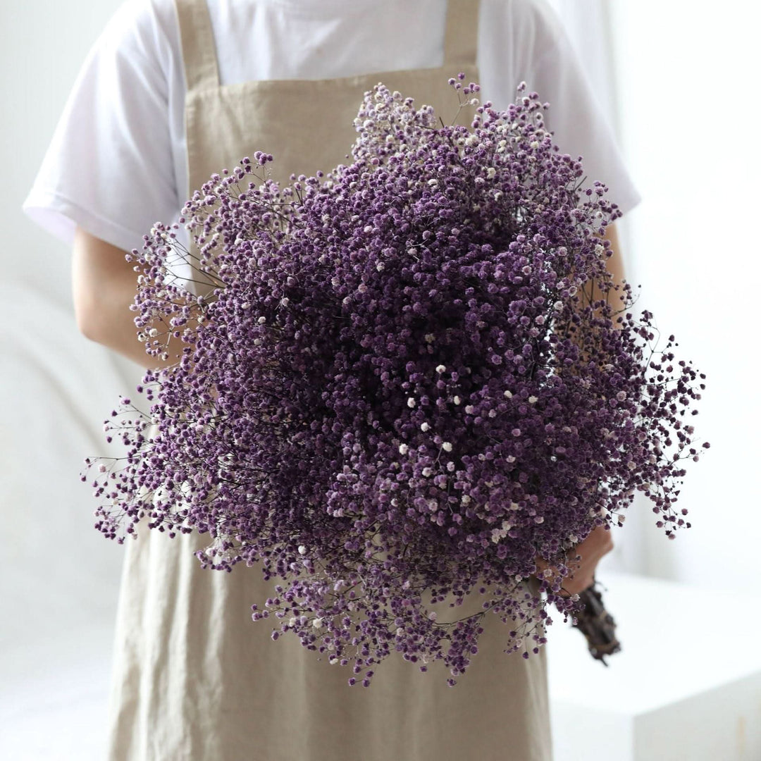 Getrockneter, konservierter Schleierkraut-Blumenstrauß – Natürliche Dekoration