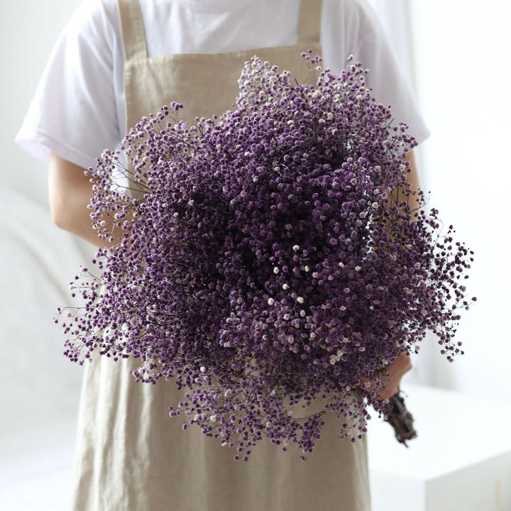 Getrockneter, konservierter Schleierkraut-Blumenstrauß – Natürliche Dekoration