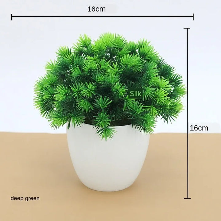 Skanto | Liten Tre Potte Bonsai Planter