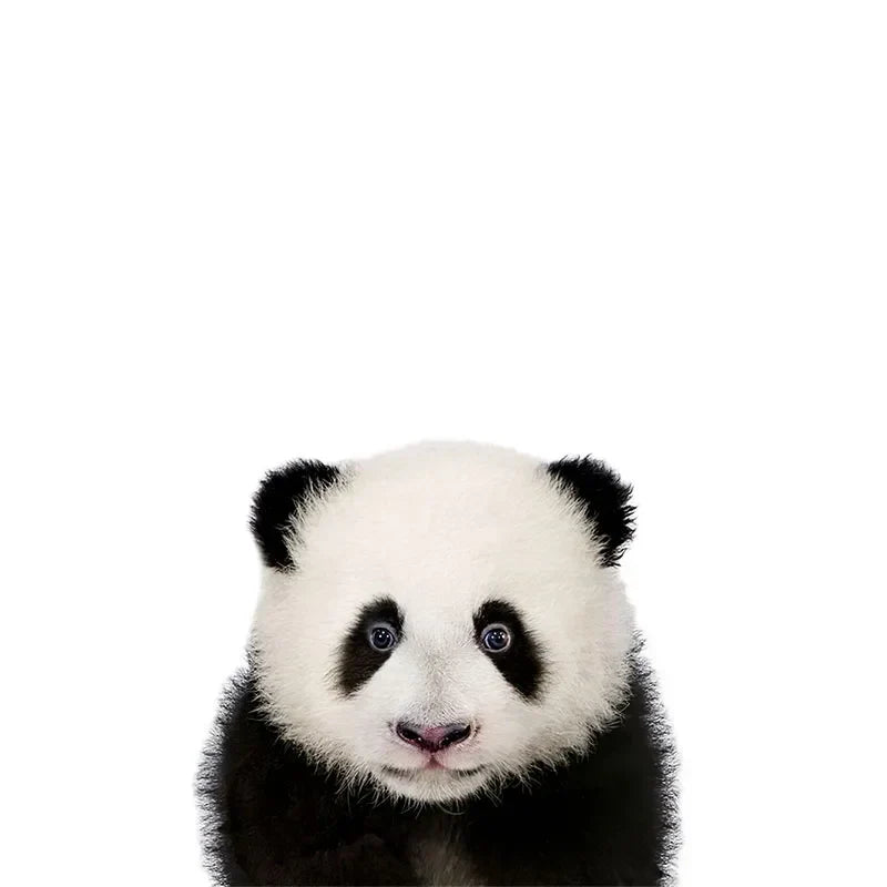 Baby Søte Dyr Veggklistermerker For Barnerom Fjerner Peel og Stick Vinyl Veggdekorasjoner For Babys Rom Kreativ DIY Veggdekor | Skanto