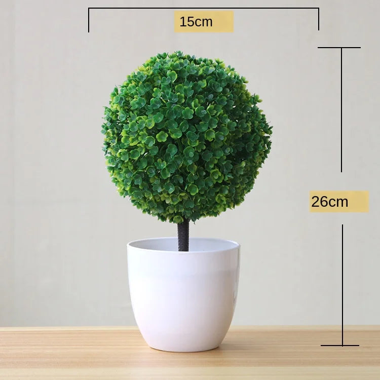 Skanto | Liten Tre Potte Bonsai Planter