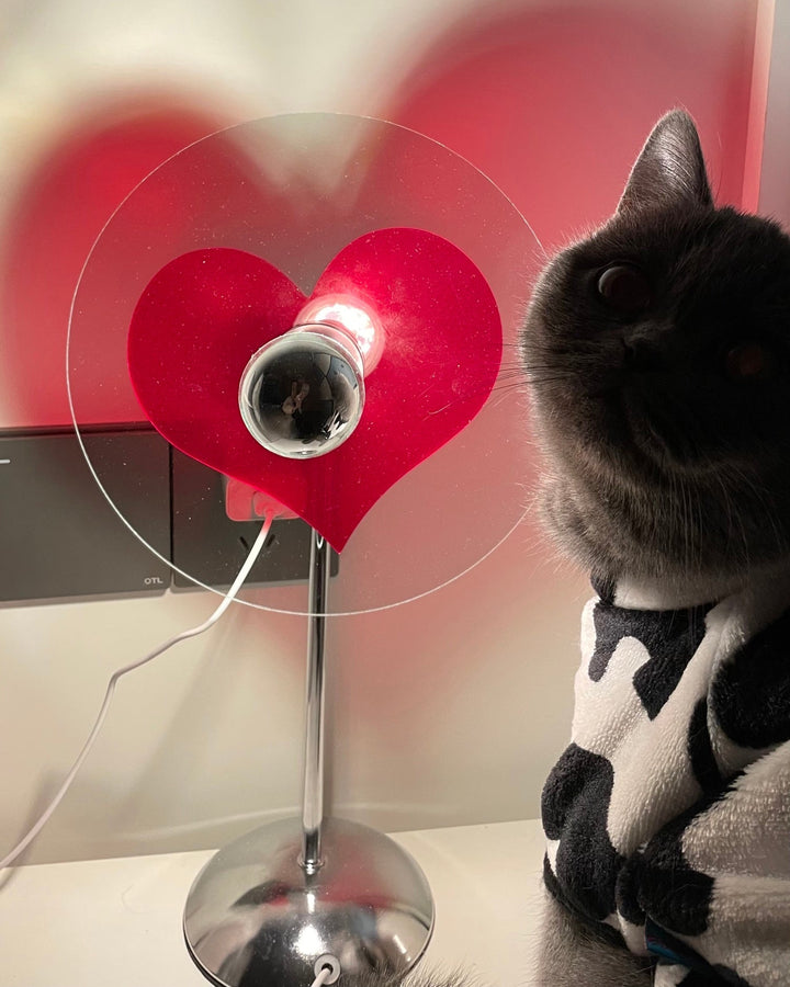 Skanto | LoveGlow – Elegant Bordlampe med Oppladbar LED