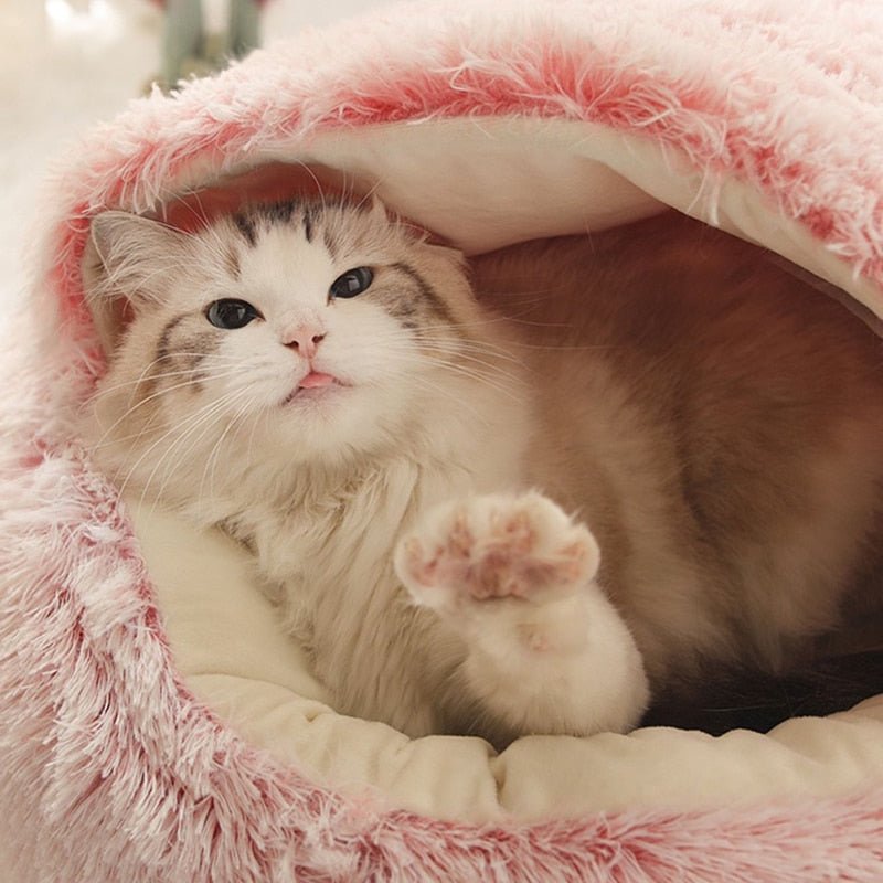 KittyCove Ultimativt komfort for katten din | Skanto